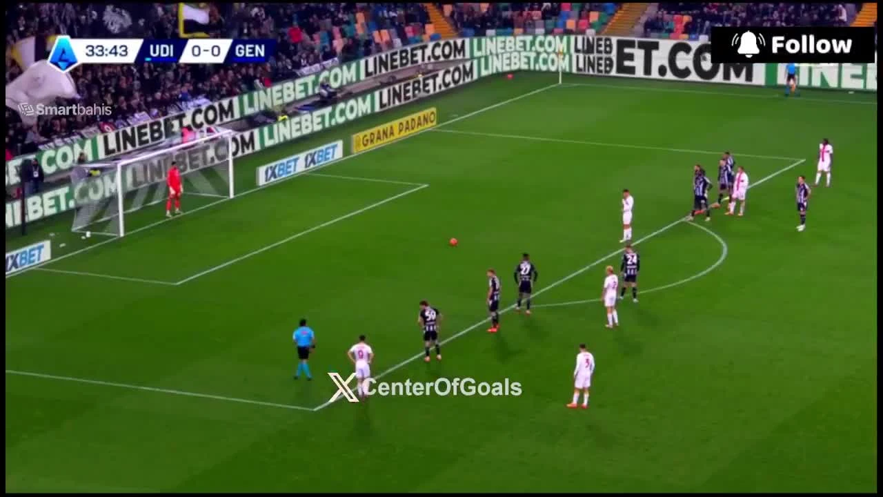 zaslepka skrotu video