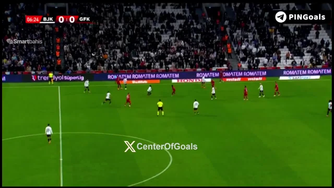 zaslepka skrotu video