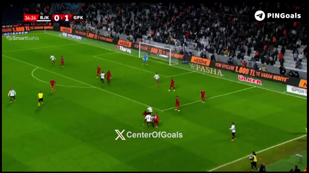 zaslepka skrotu video