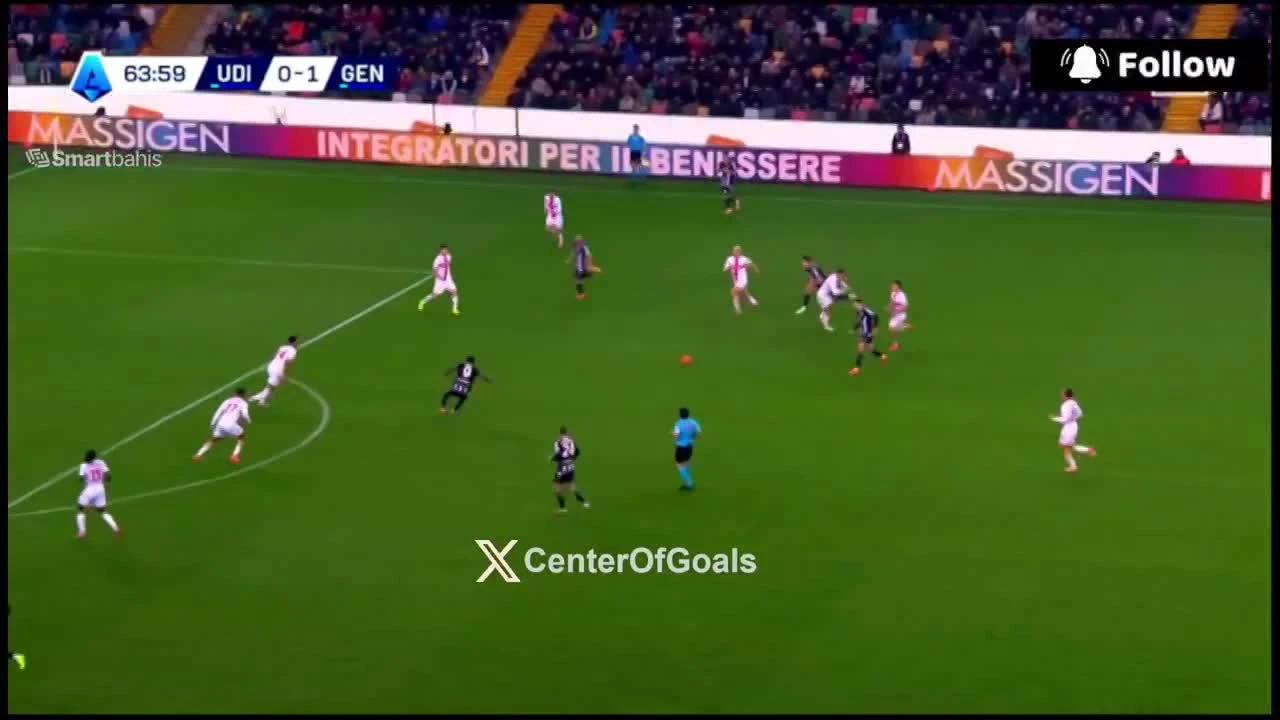 zaslepka skrotu video