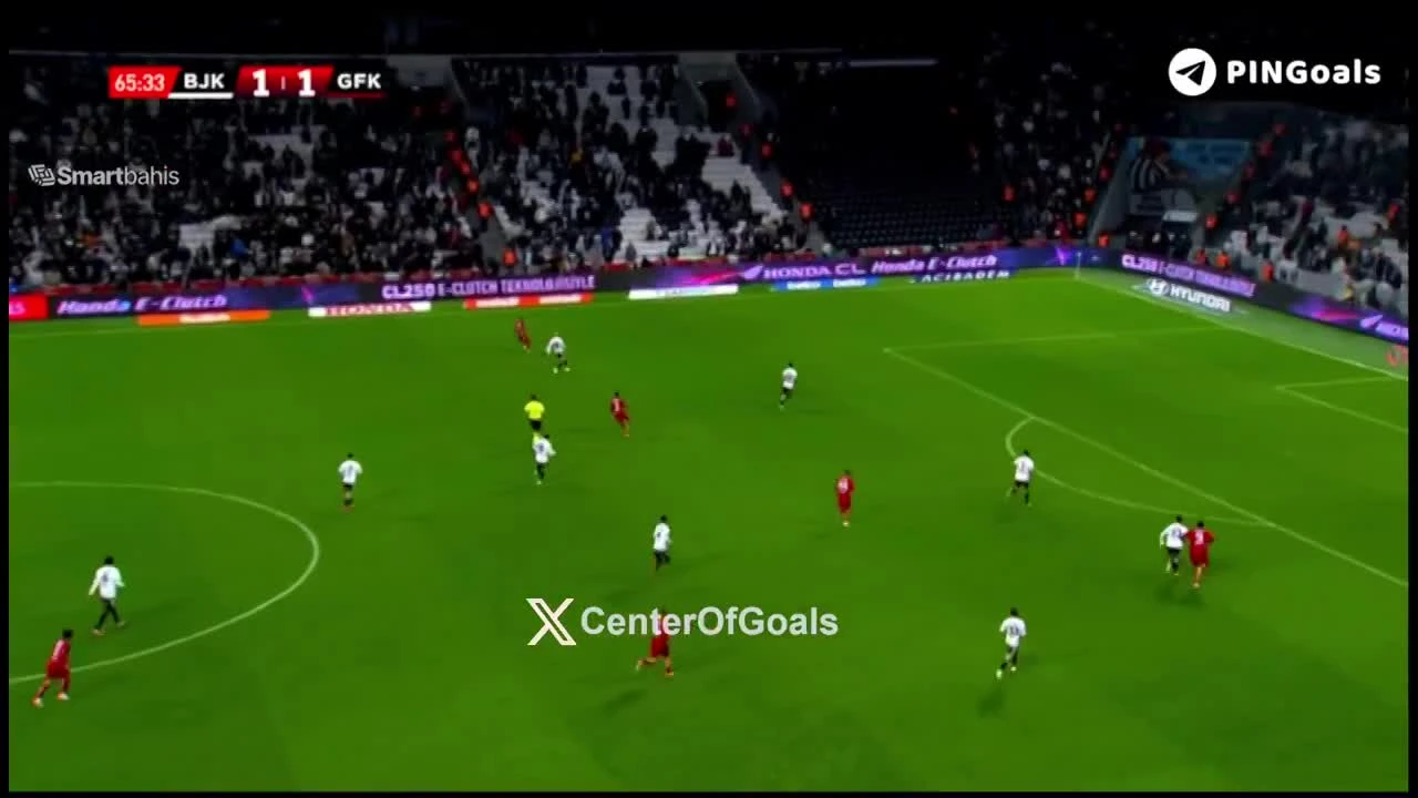 zaslepka skrotu video