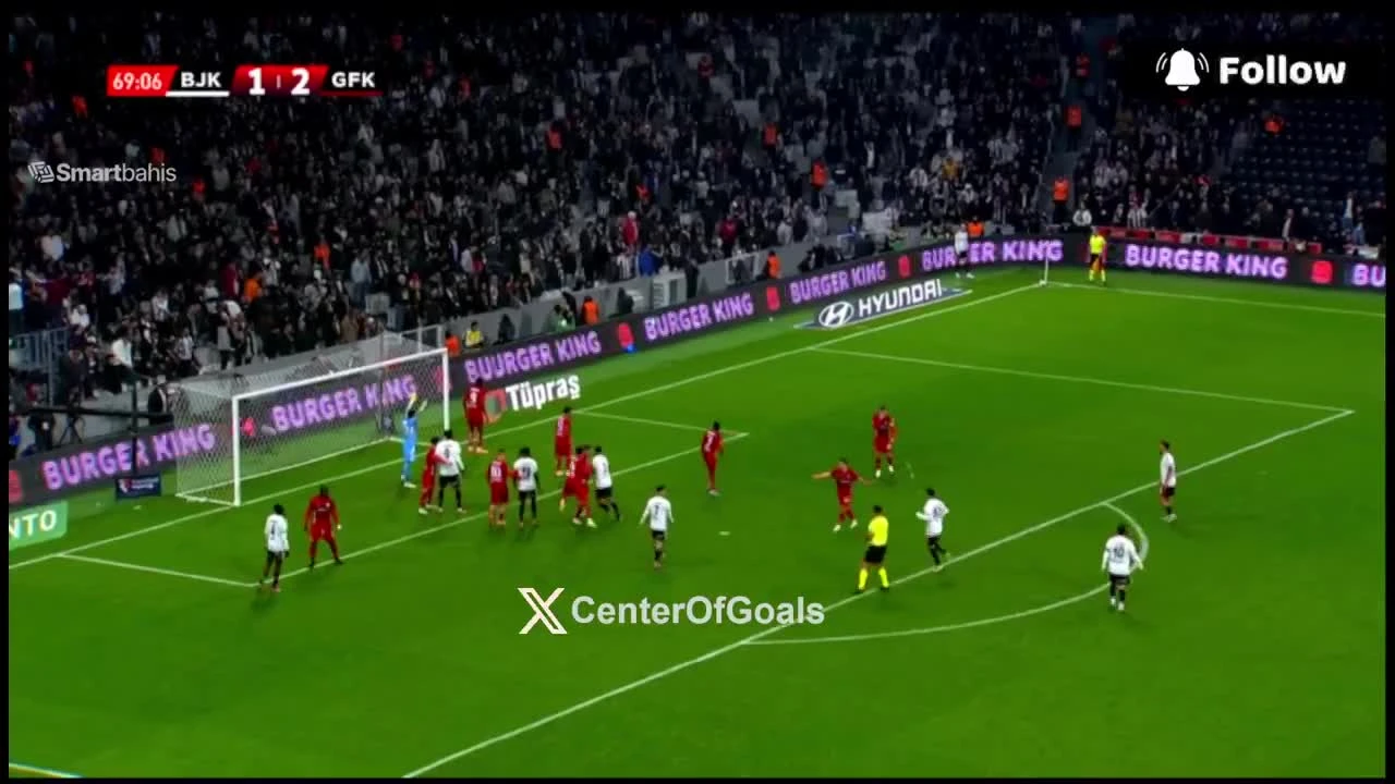 zaslepka skrotu video