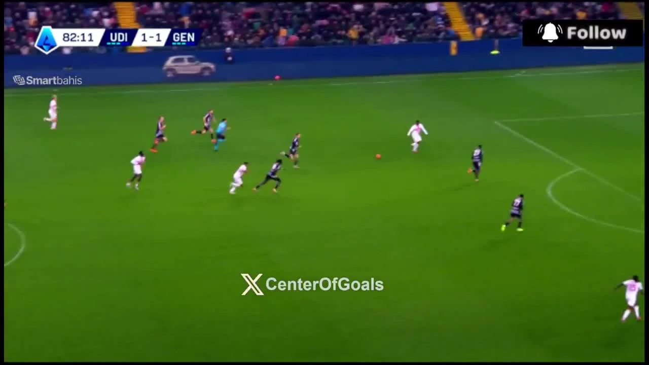 zaslepka skrotu video