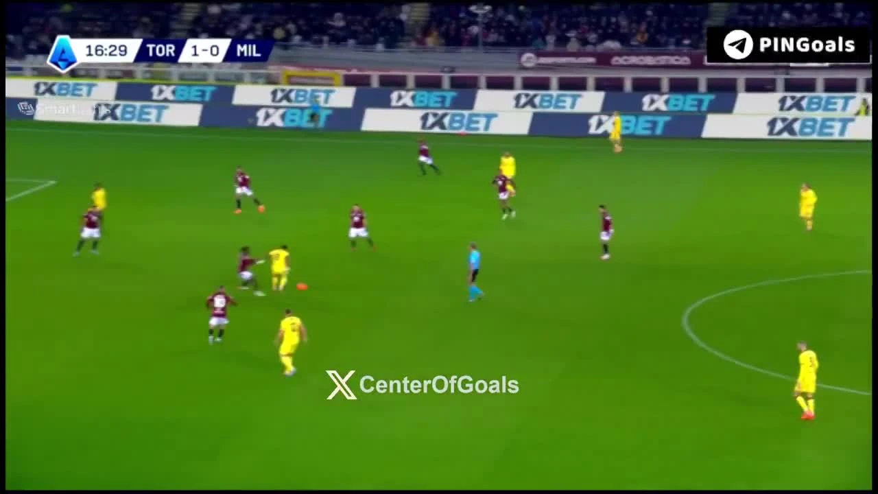 zaslepka skrotu video