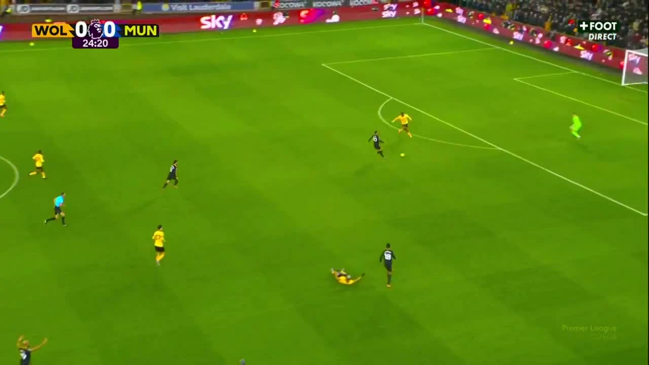 zaslepka skrotu video