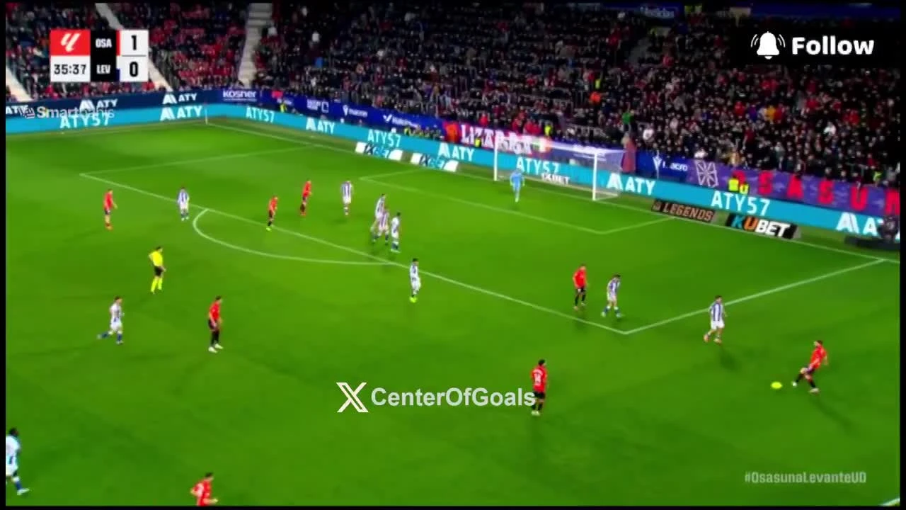 zaslepka skrotu video