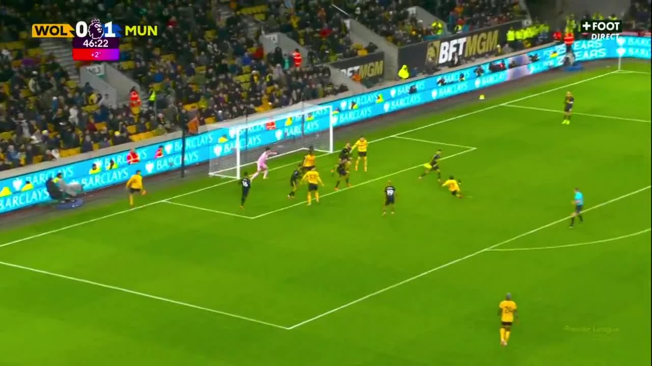 zaslepka skrotu video