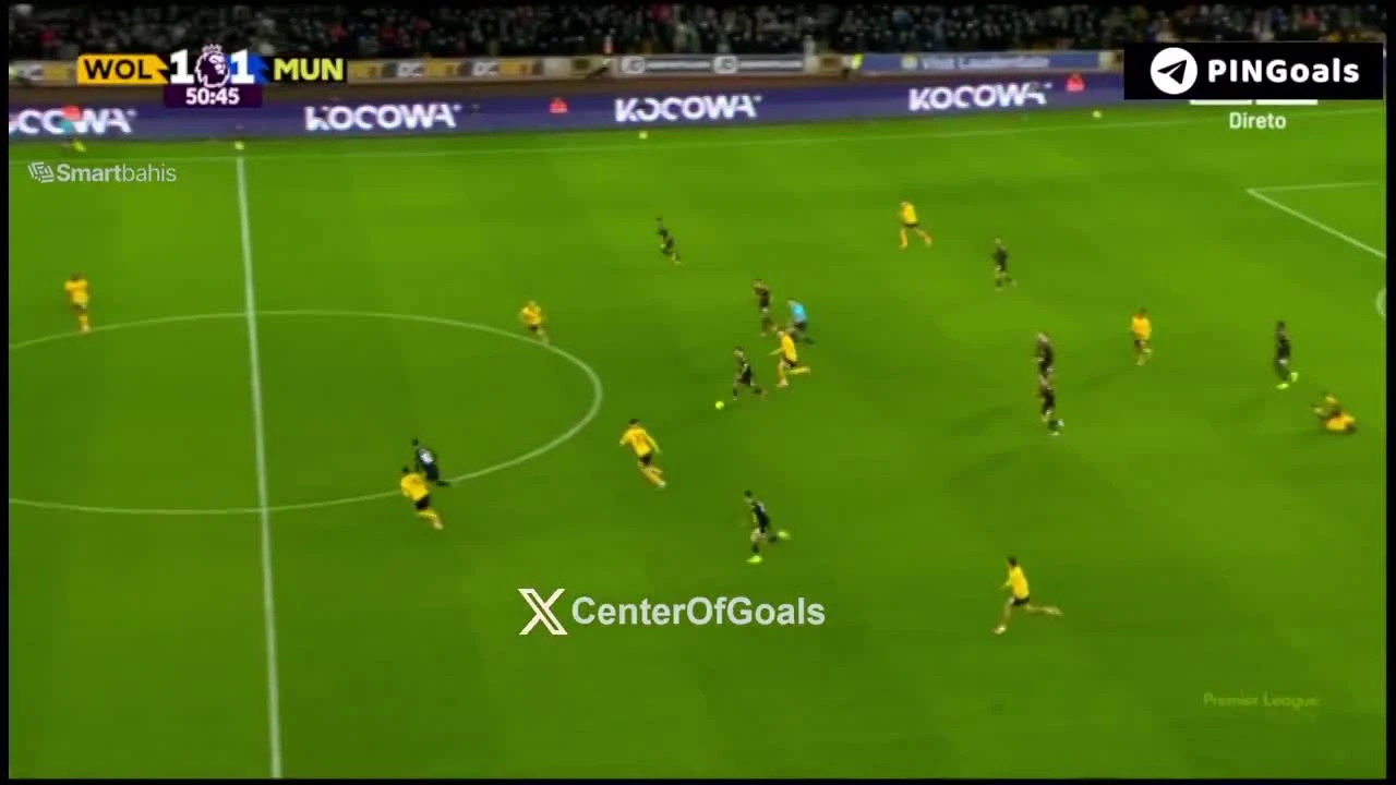 zaslepka skrotu video