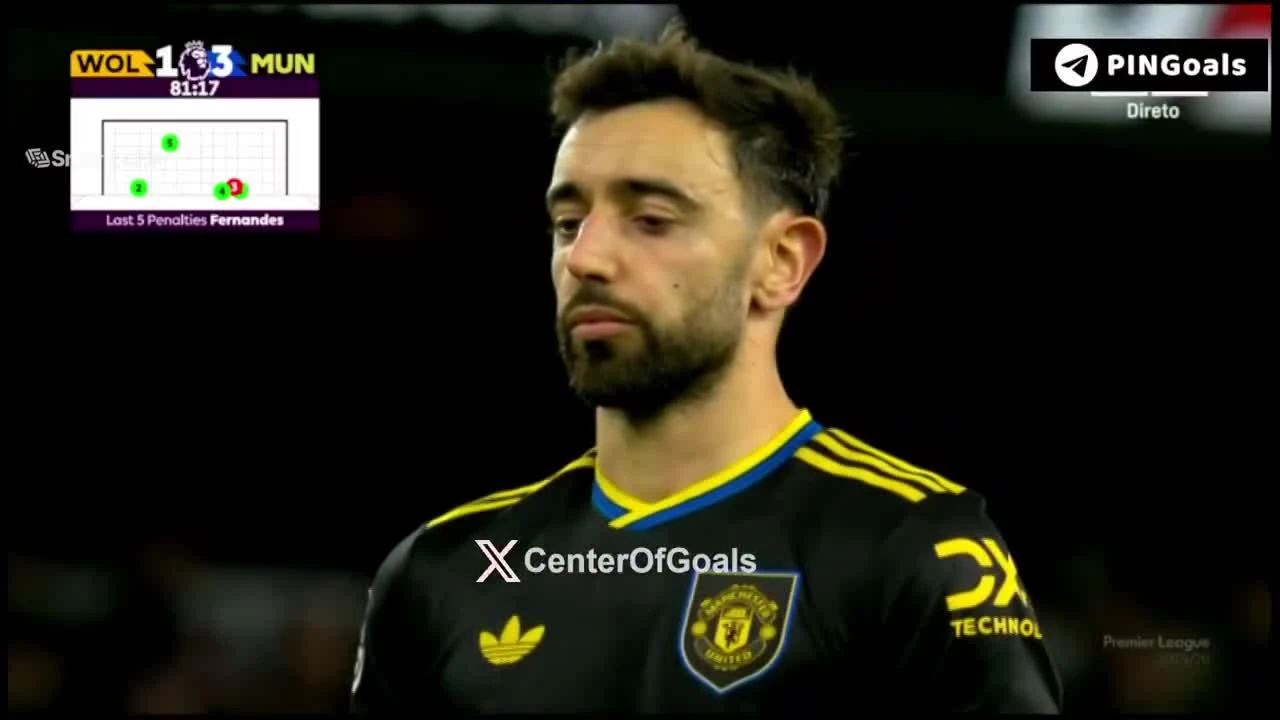 zaslepka skrotu video