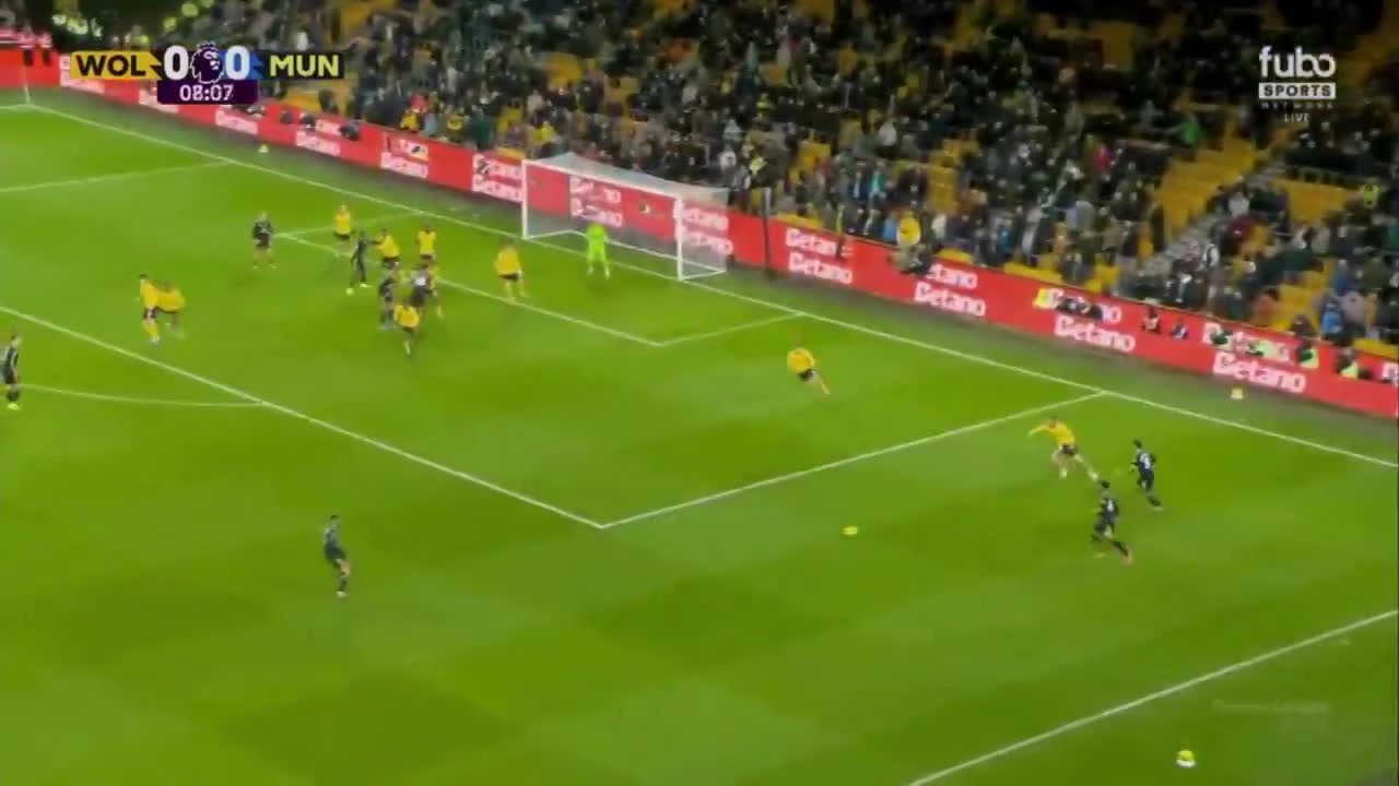 zaslepka skrotu video