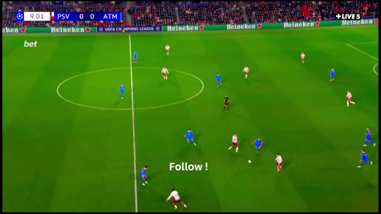 zaslepka skrotu video