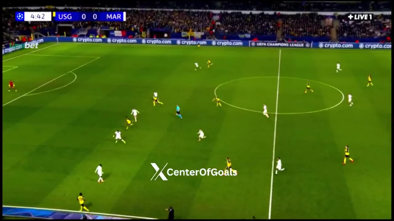 zaslepka skrotu video