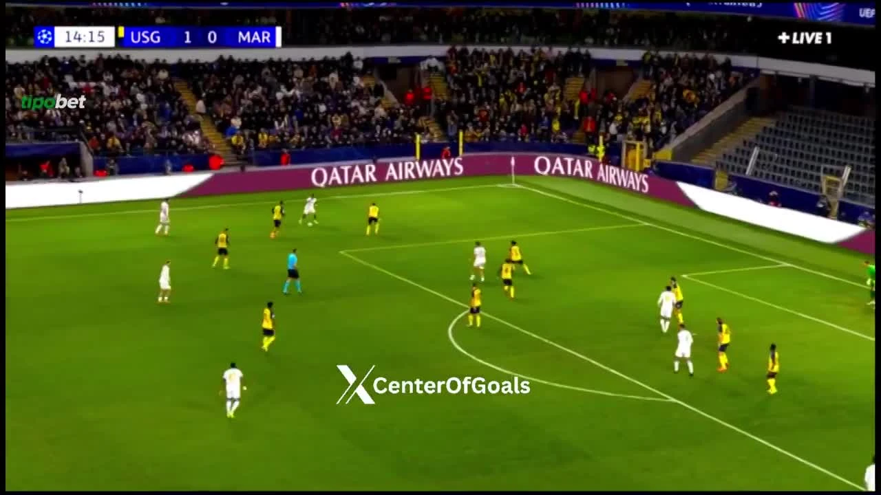 zaslepka skrotu video