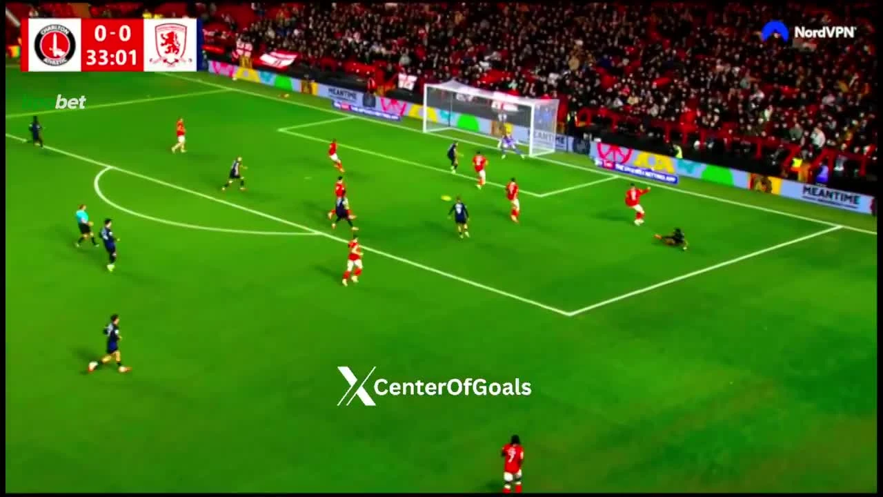 zaslepka skrotu video