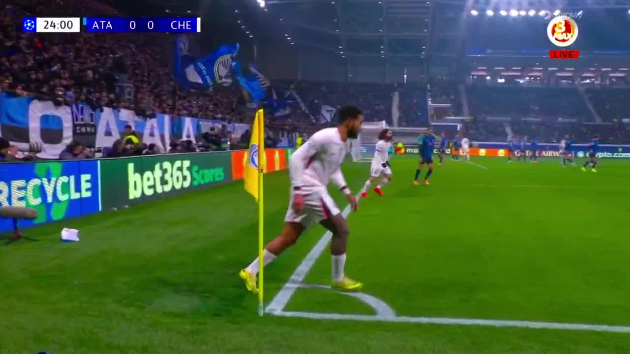 zaslepka skrotu video