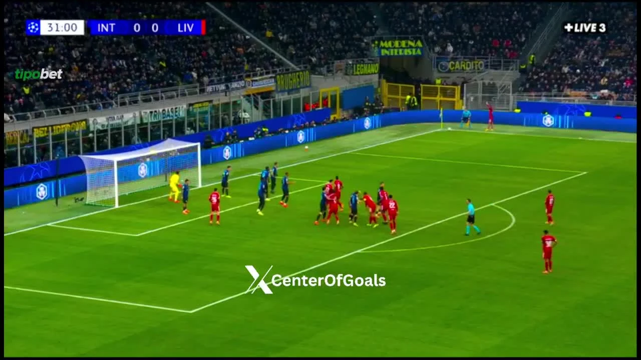 zaslepka skrotu video