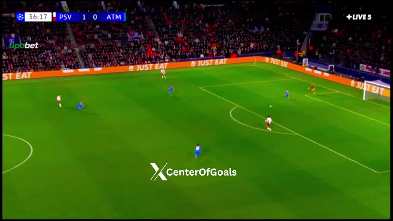 zaslepka skrotu video