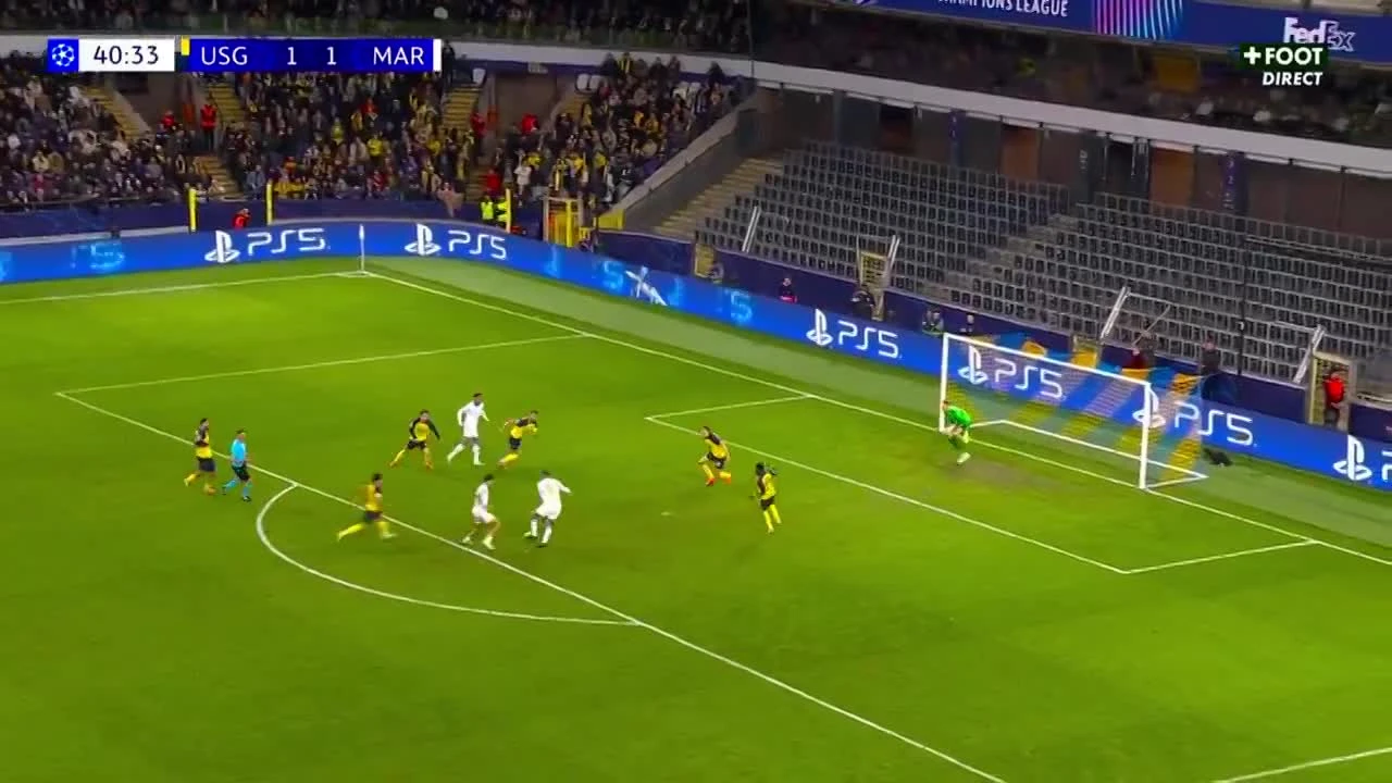 zaslepka skrotu video