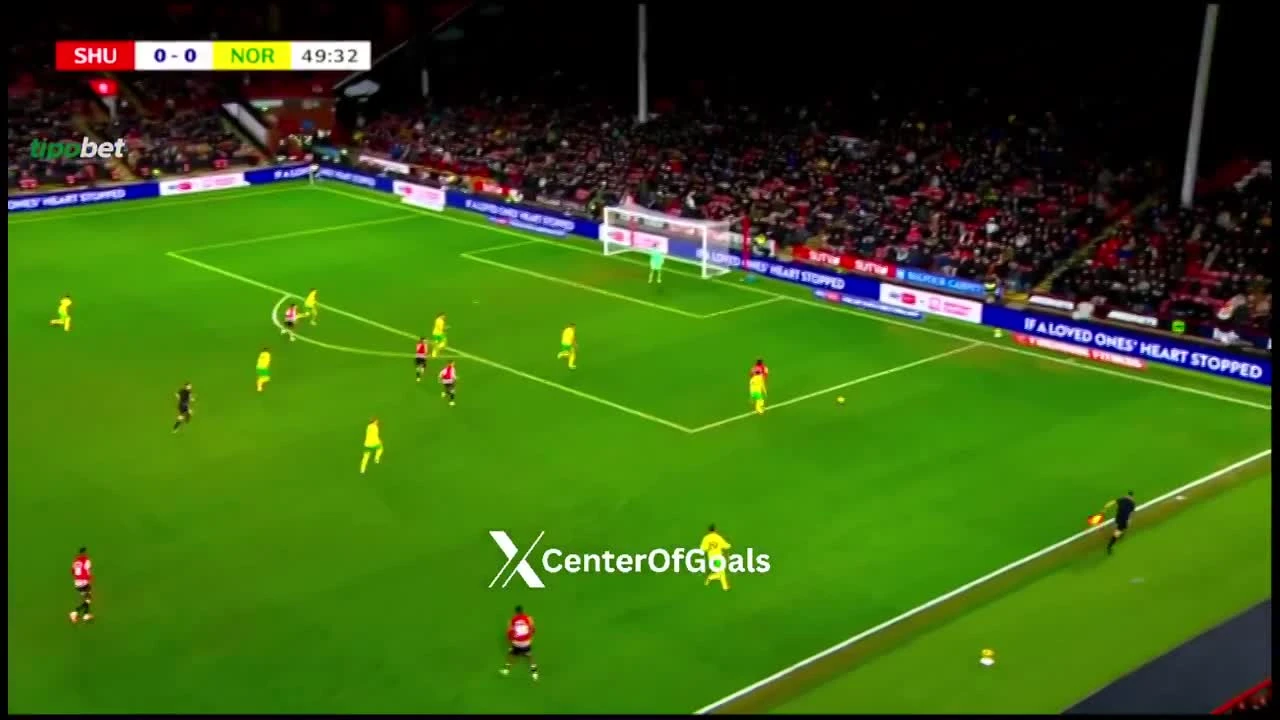 zaslepka skrotu video