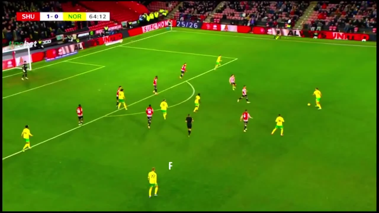 zaslepka skrotu video