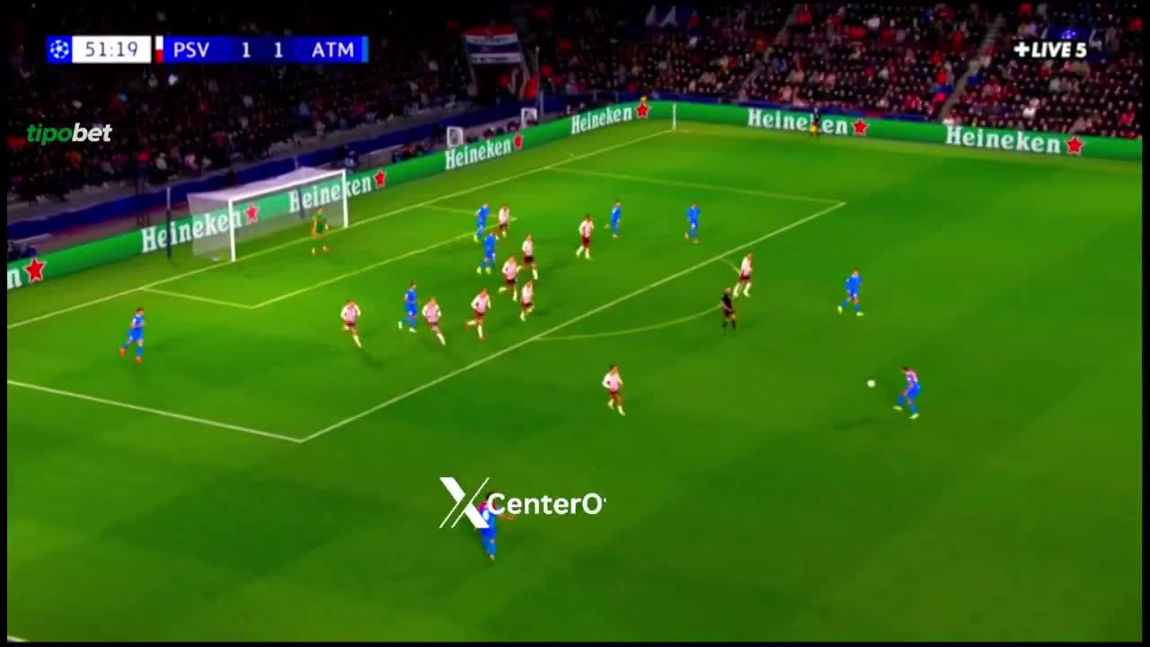 zaslepka skrotu video