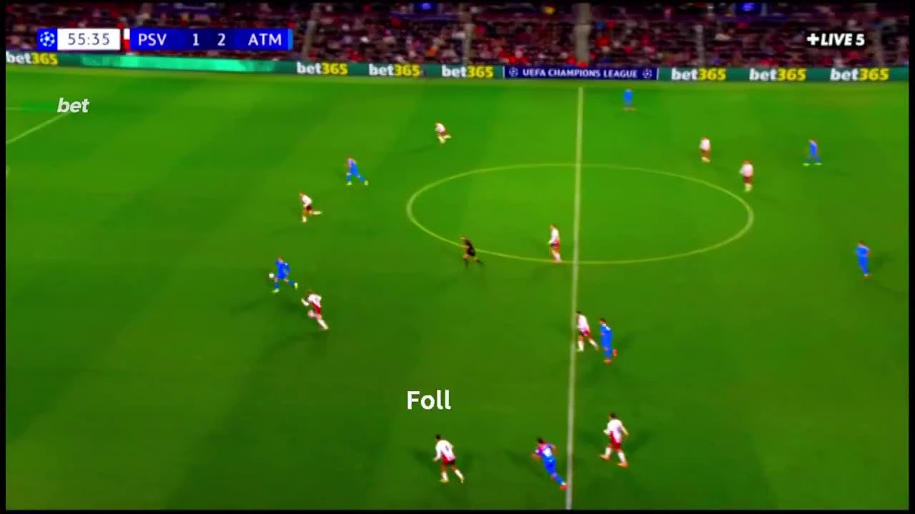 zaslepka skrotu video