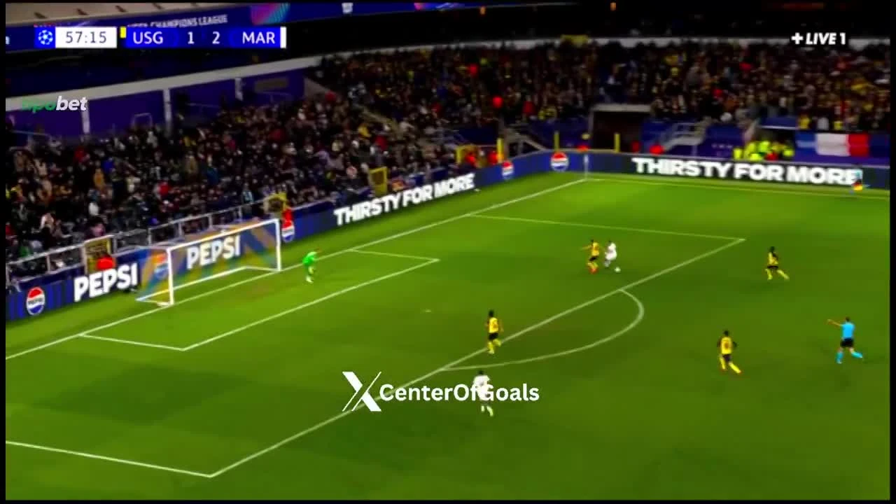 zaslepka skrotu video