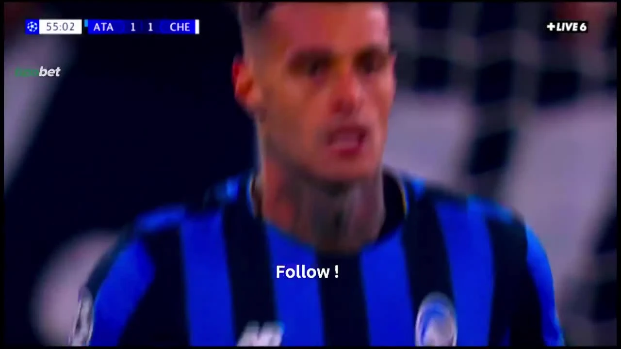 zaslepka skrotu video