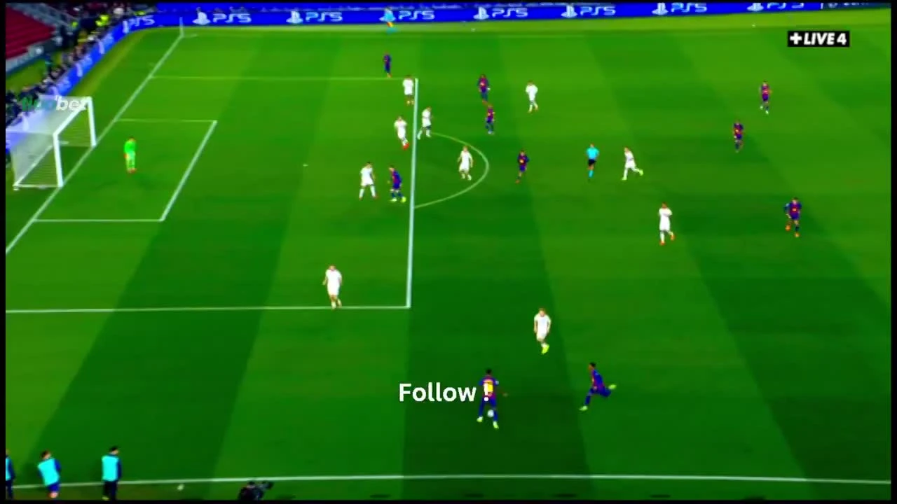 zaslepka skrotu video