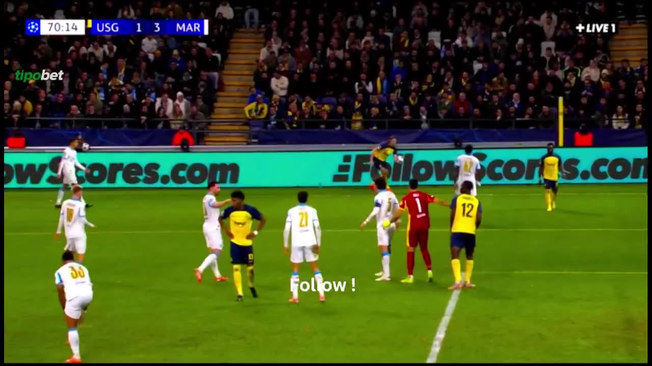 zaslepka skrotu video