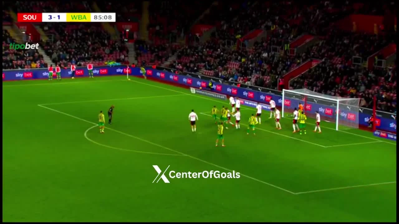 zaslepka skrotu video