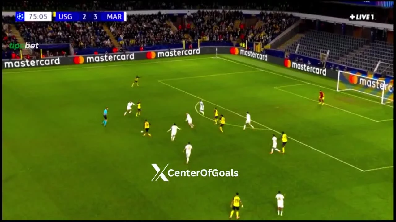 zaslepka skrotu video