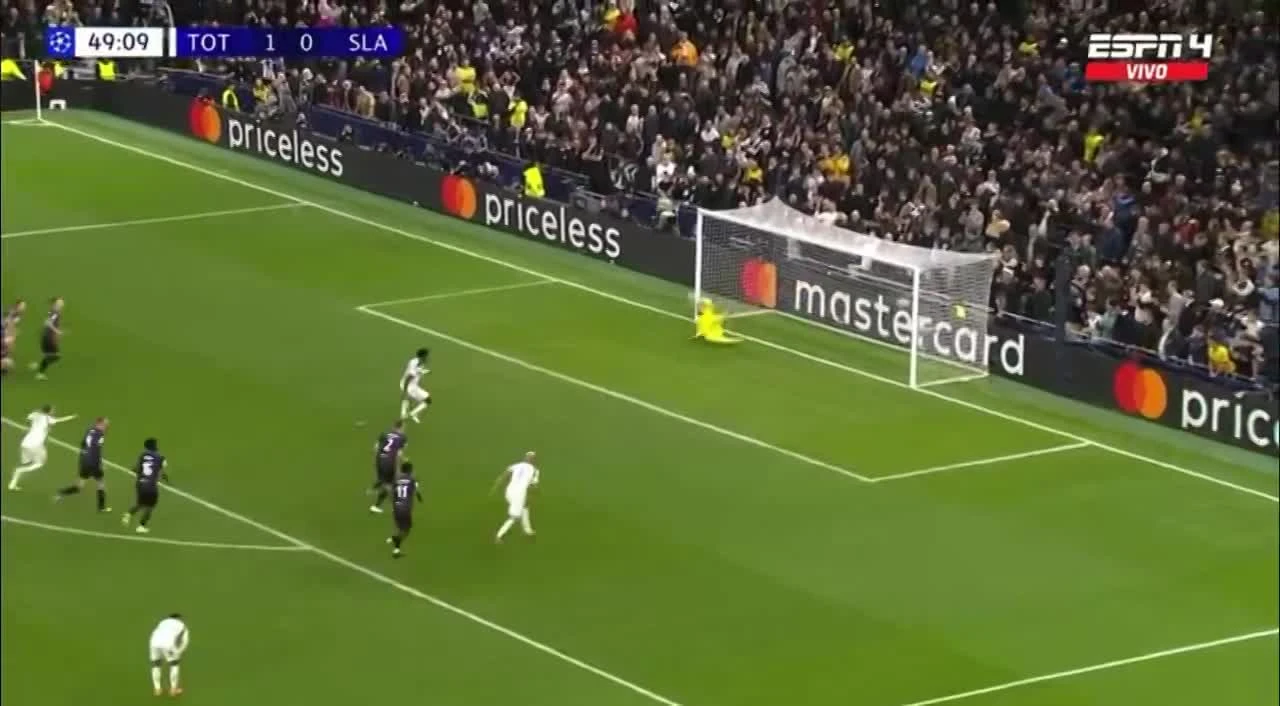 zaslepka skrotu video