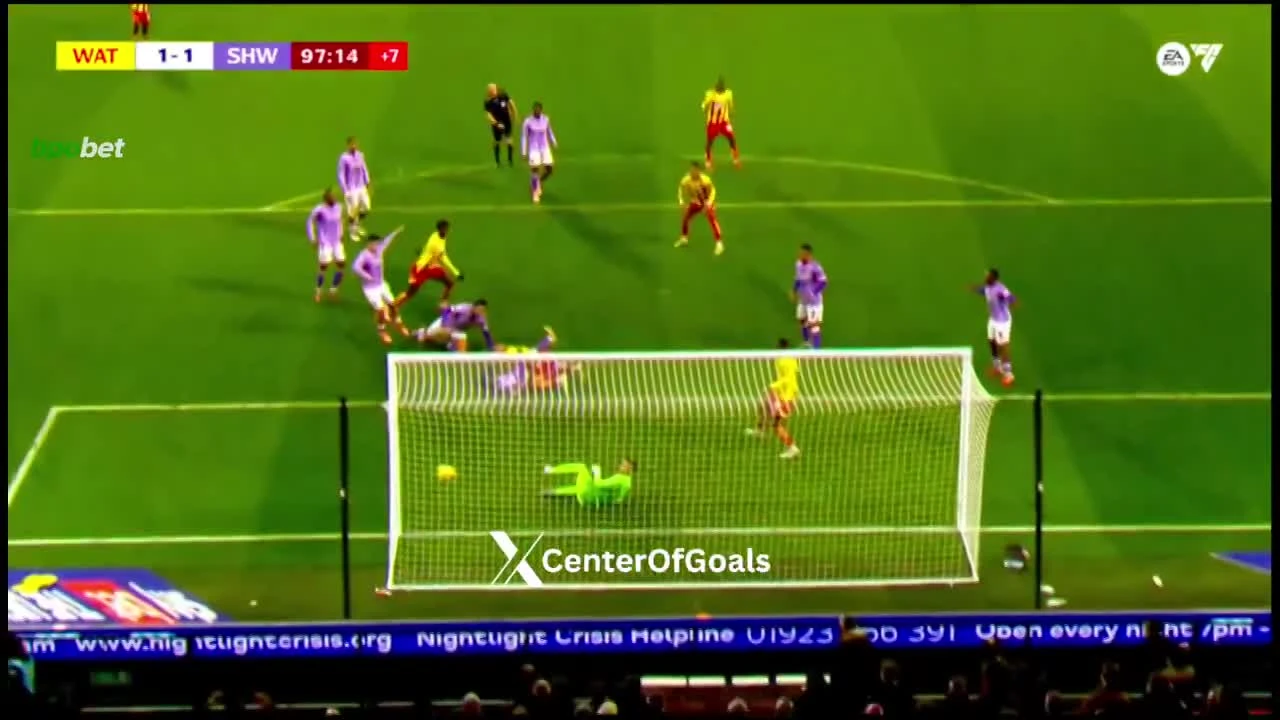 zaslepka skrotu video