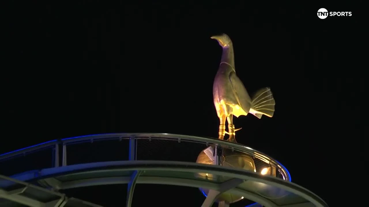 zaslepka skrotu video