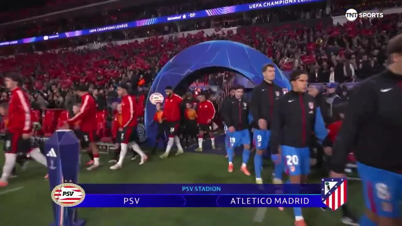 zaslepka skrotu video