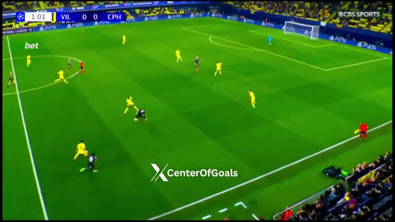 zaslepka skrotu video