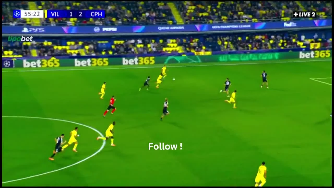 zaslepka skrotu video