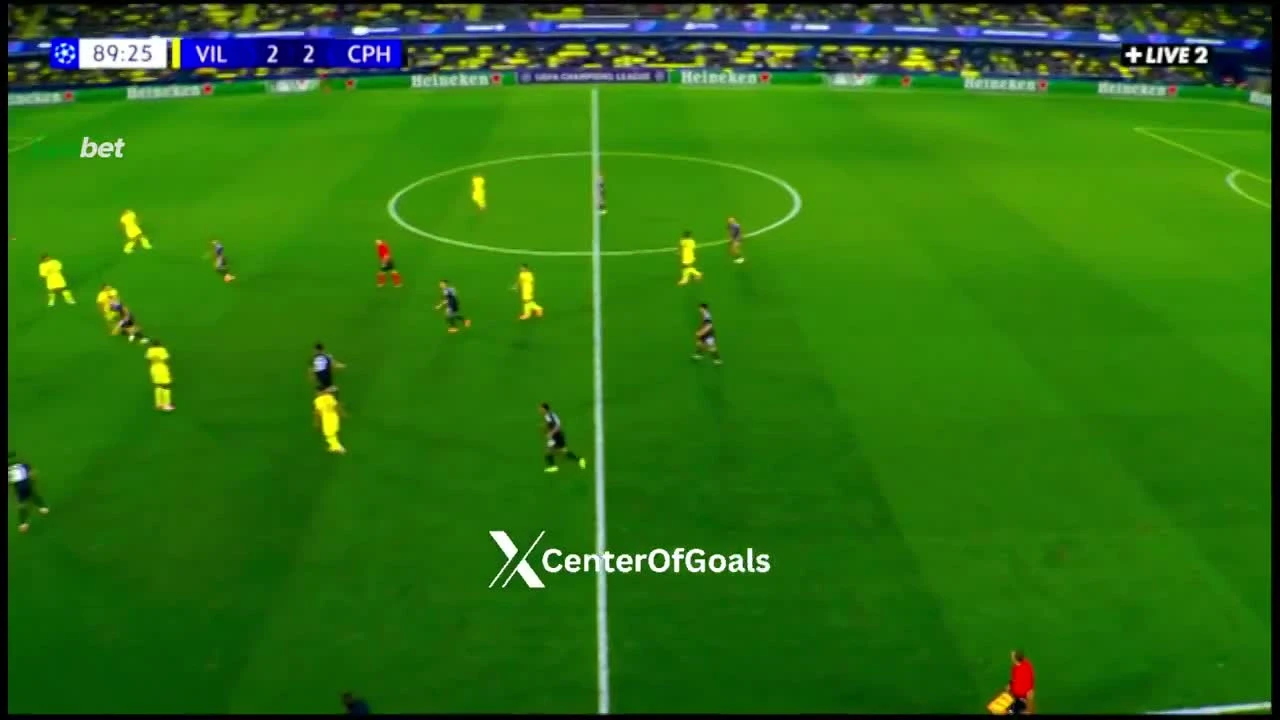 zaslepka skrotu video