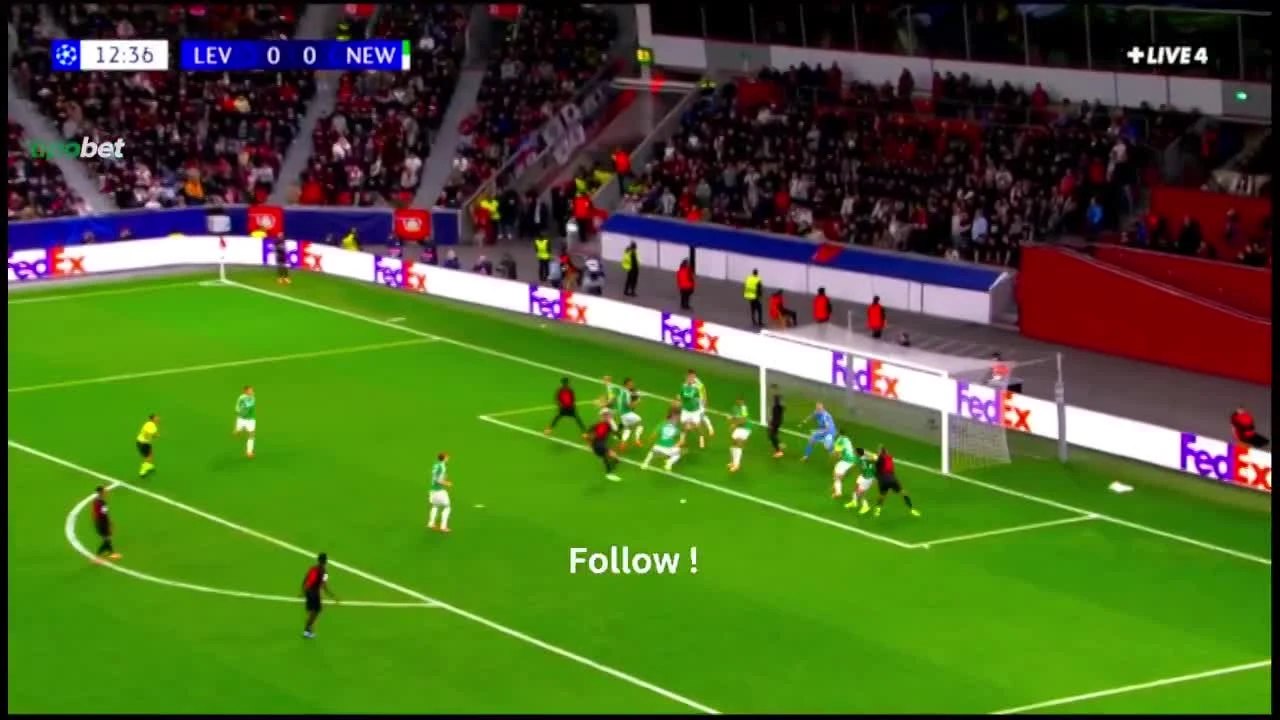 zaslepka skrotu video