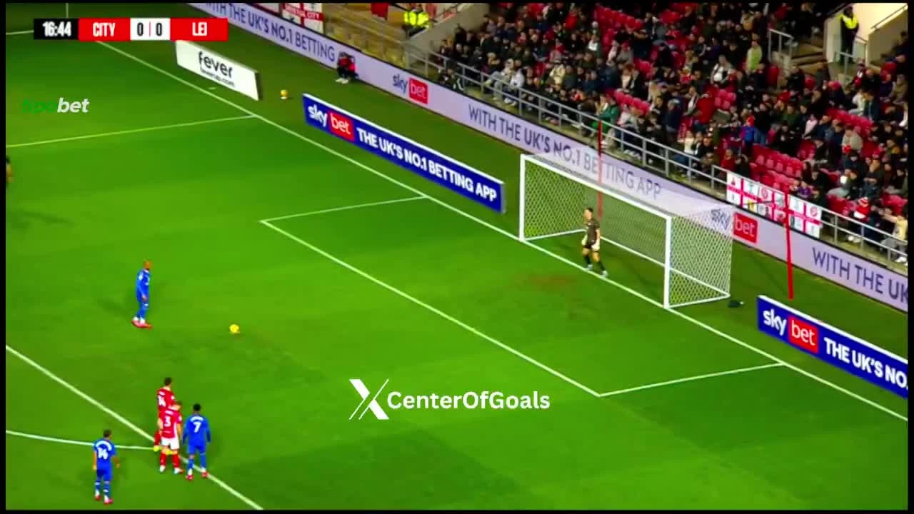 zaslepka skrotu video