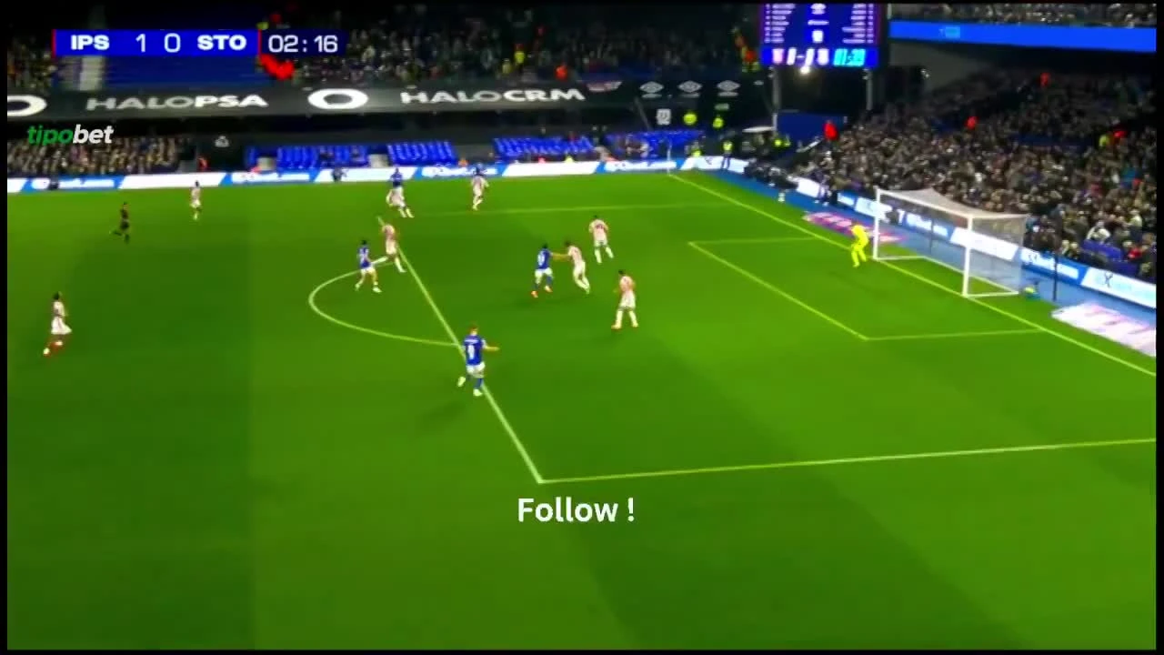 zaslepka skrotu video