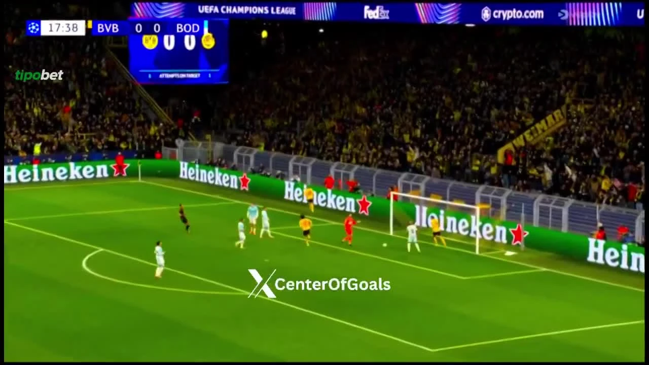 zaslepka skrotu video