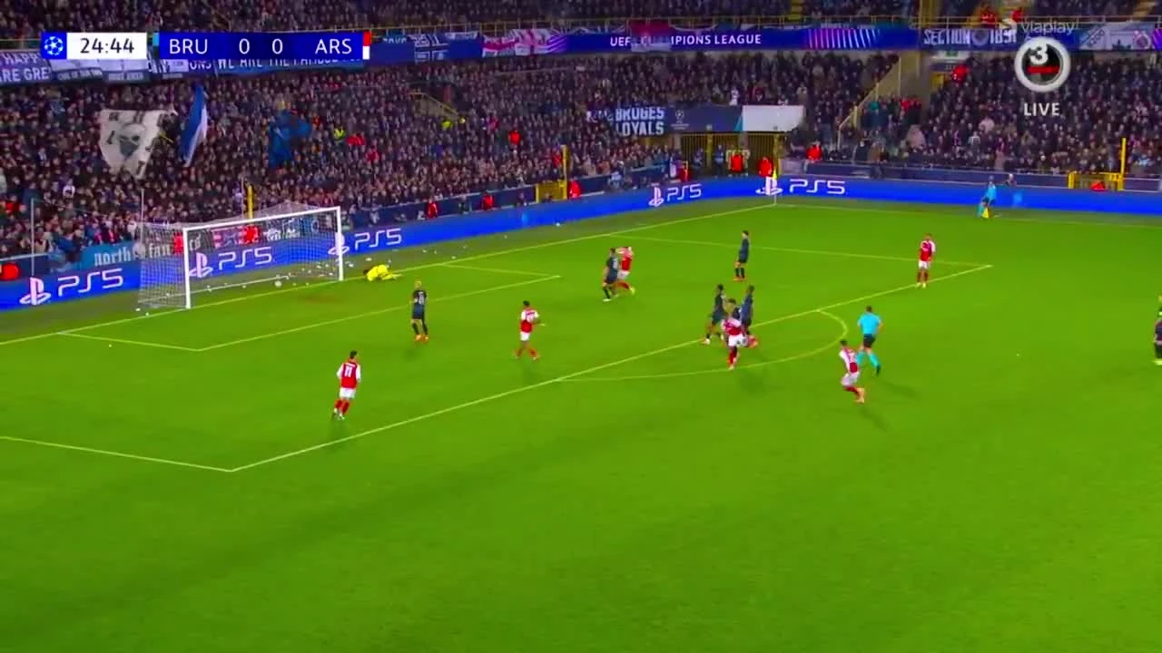 zaslepka skrotu video