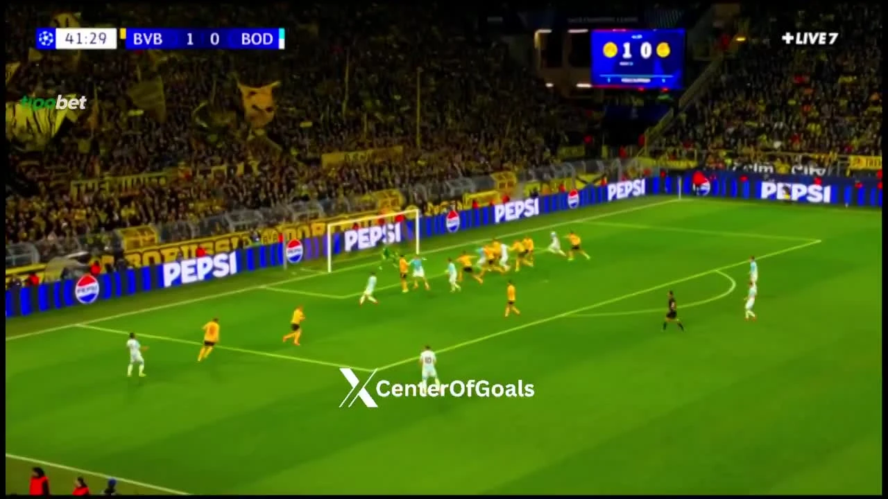 zaslepka skrotu video