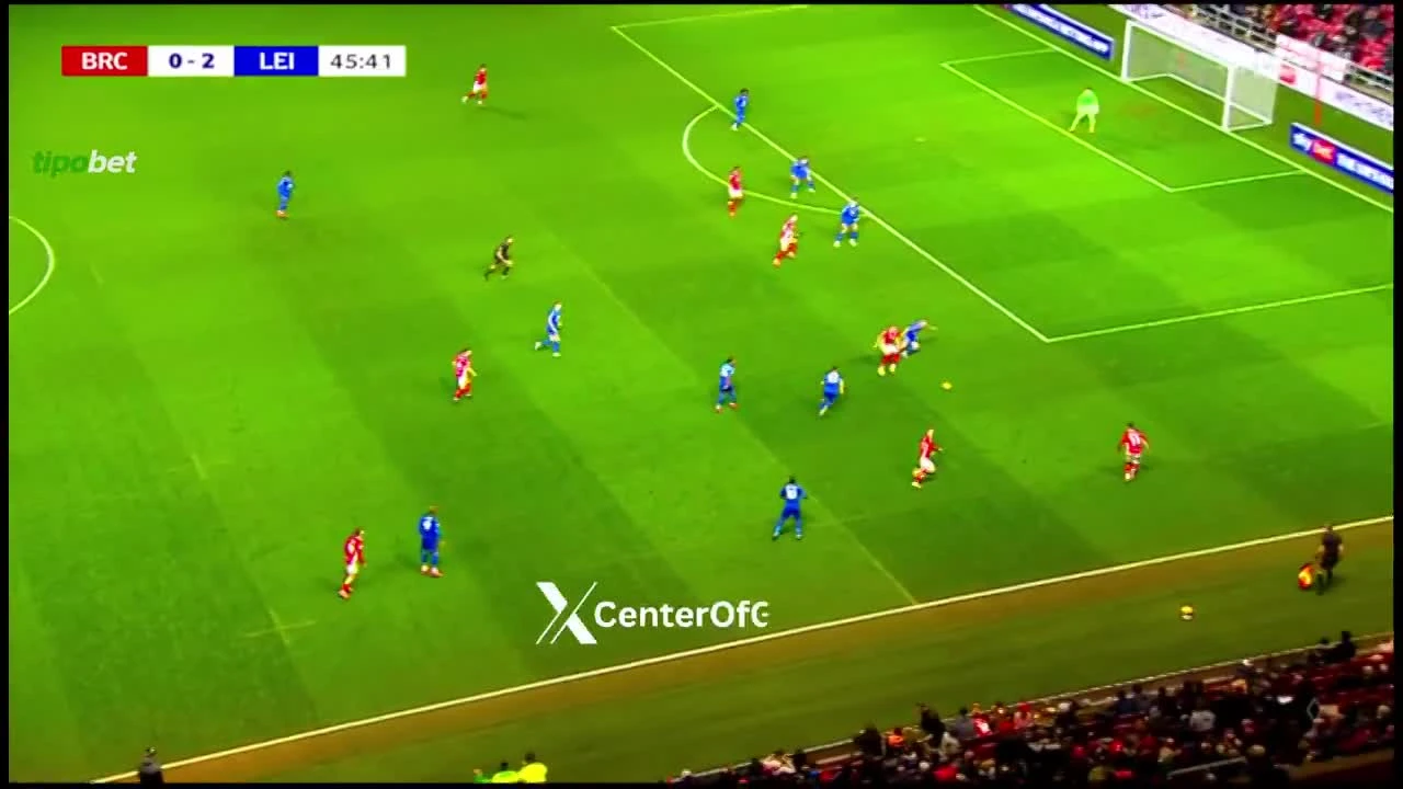 zaslepka skrotu video