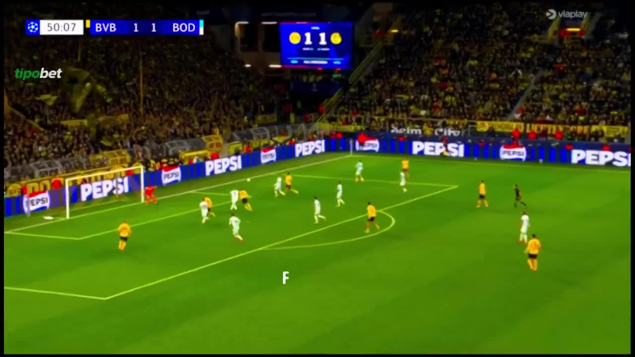 zaslepka skrotu video