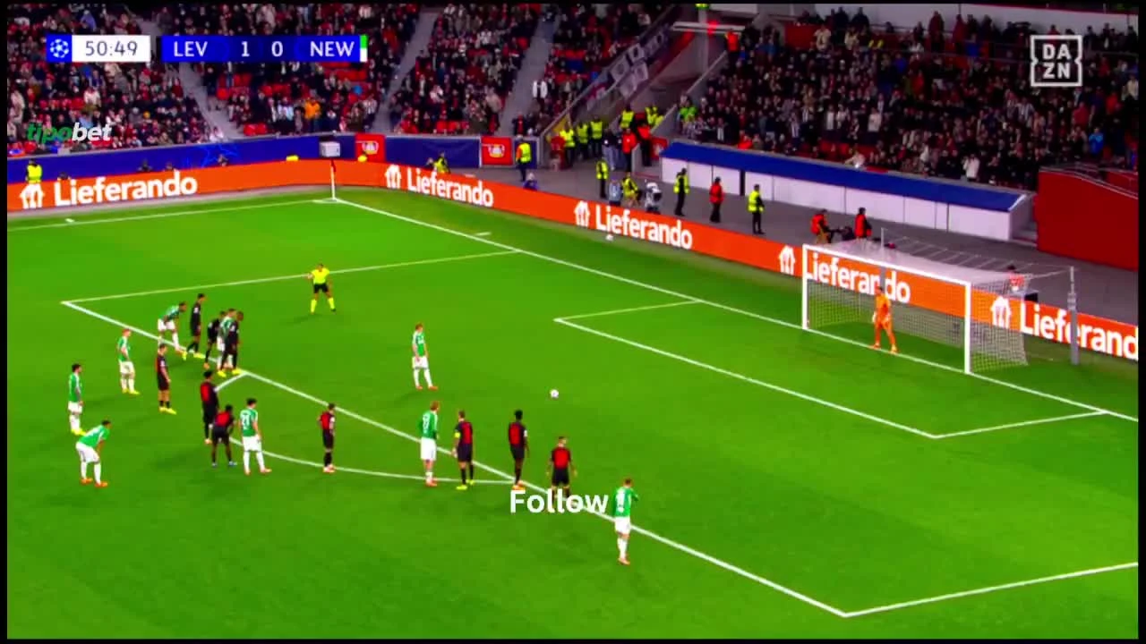 zaslepka skrotu video