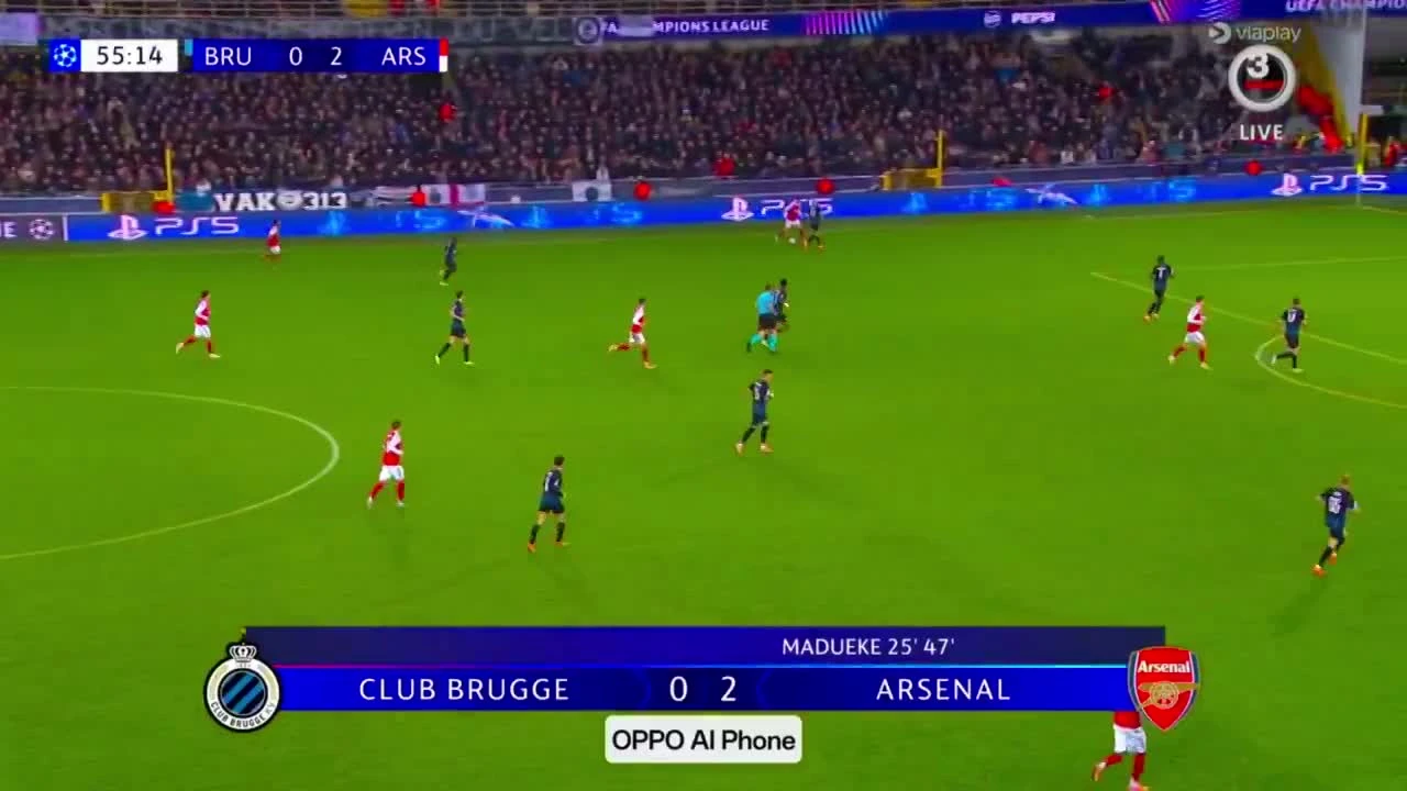 zaslepka skrotu video