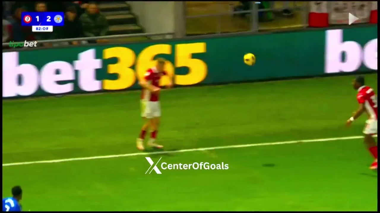 zaslepka skrotu video